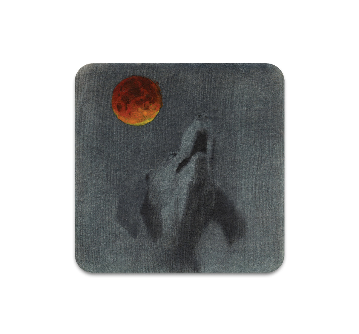 S11 Zachary Oldenkamp - Coaster 2