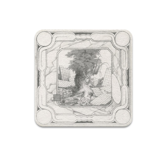 S8 Cam Floyd - Coaster 1