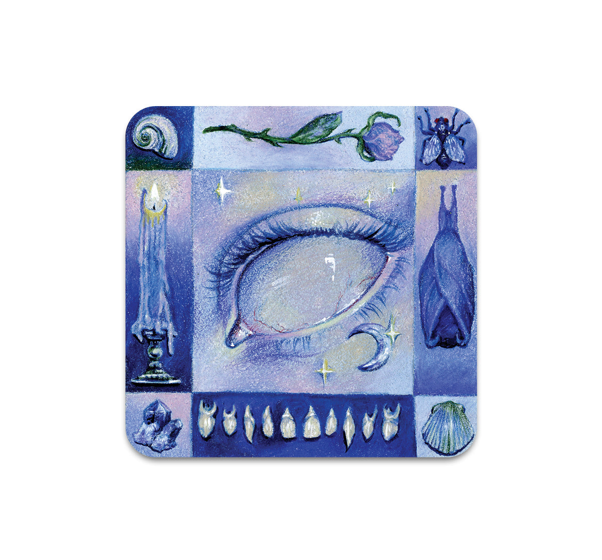 S8 Colin Verdi  - Coaster 1