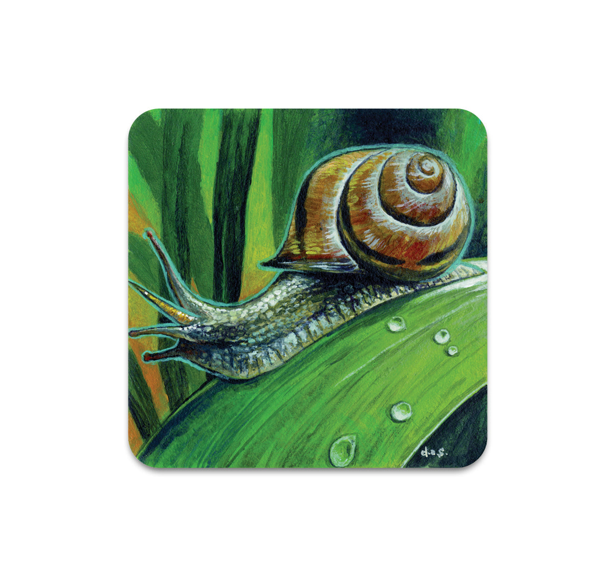 S8 ダニー・シュワルツ - コースター 3