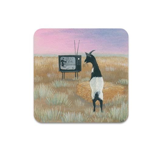 S8 ヘザー サンクイスト ホール - コースター 6