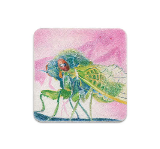 S8 ヘルマン・メヒア - コースター 1