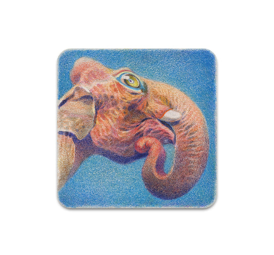 S8 ヘルマン・メヒア - コースター 2