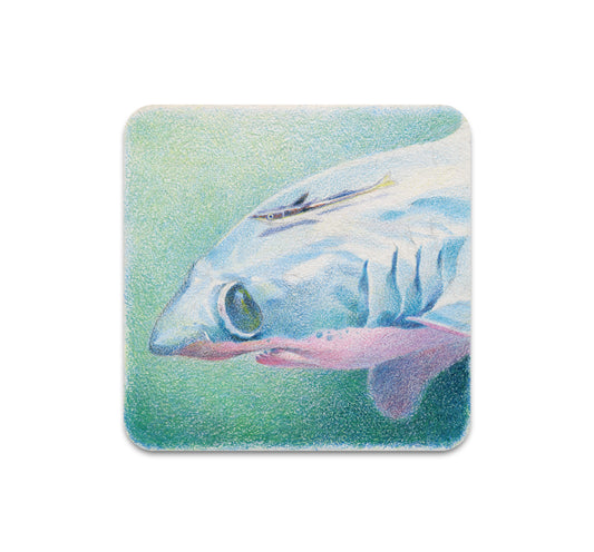 S8 ヘルマン・メヒア - コースター 5