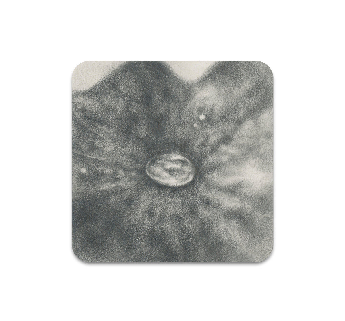 S8 ケラ・ハン - コースター 1