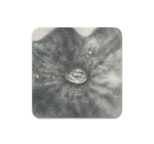 S8 ケラ・ハン - コースター 1