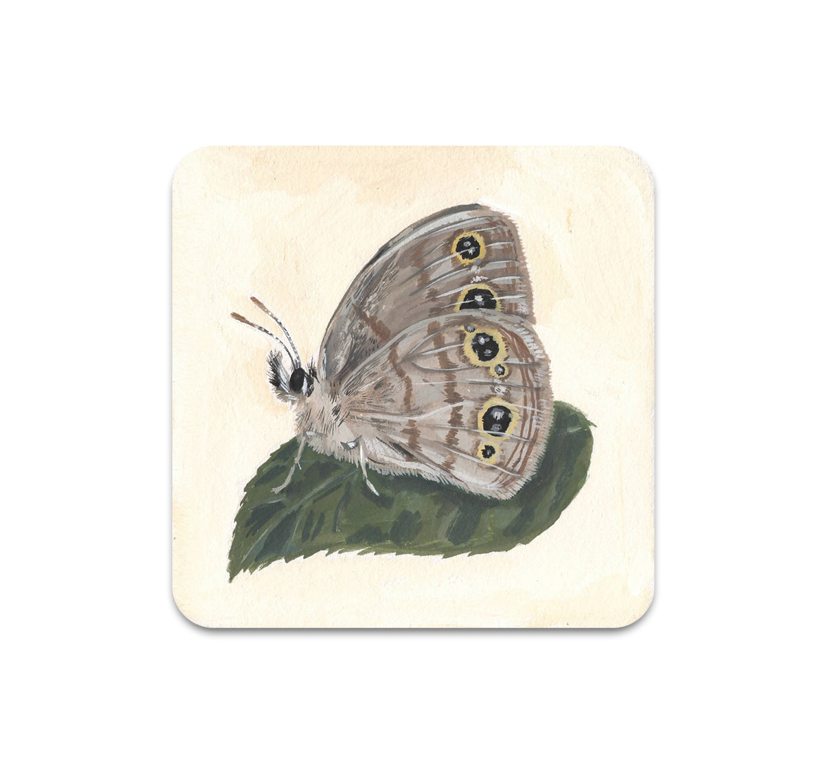 S8 ケルシー・オセイド - コースター 5