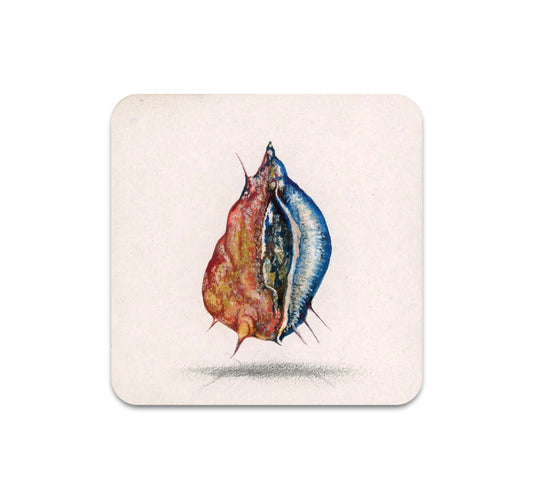 S8 ケビン・アール・テイラー - コースター 1