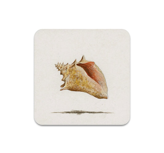 S8 ケビン・アール・テイラー - コースター 5