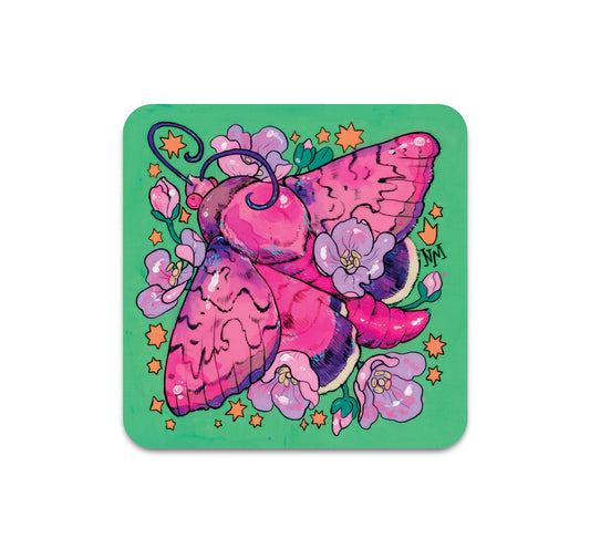 S8 Niky Motekallem - Coaster 4