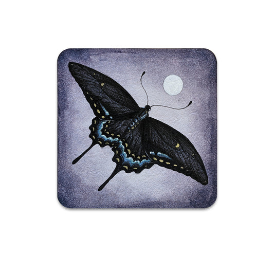 S8 VR リベラ - コースター 3