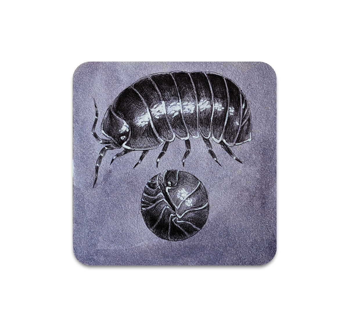 S8 VR リベラ - コースター 5