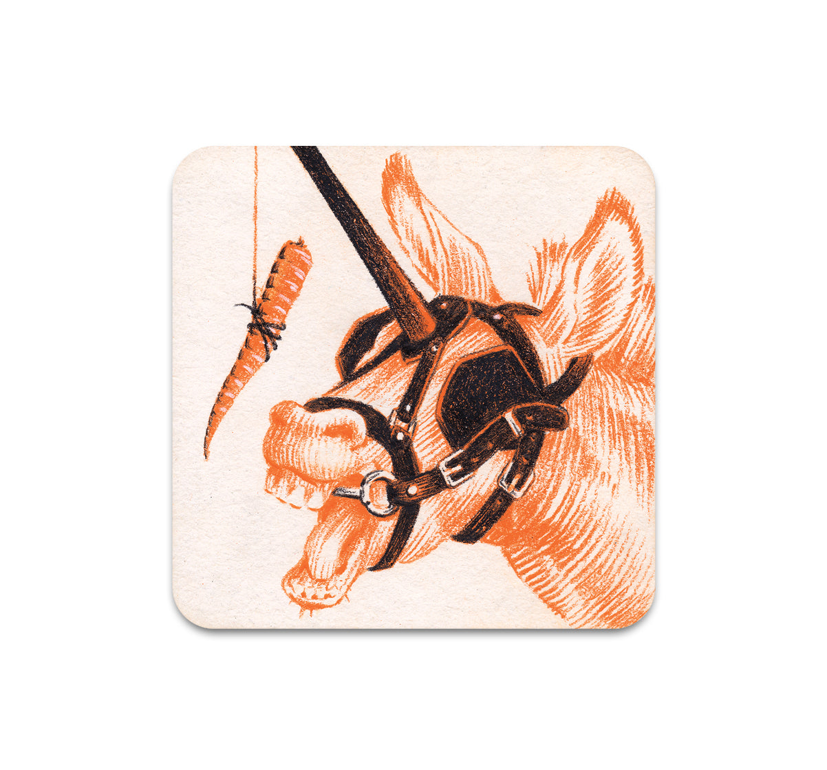 S9 Brian Britigan - Coaster 2