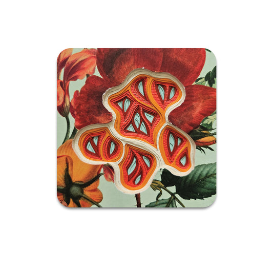 S9 チャールズ・クラリー - コースター 1