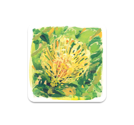 S9 ダスドリュー - コースター 8