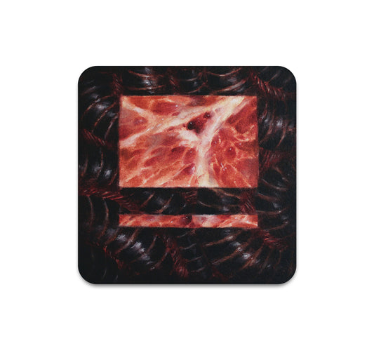 S9 ダスティ・レイ - コースター2