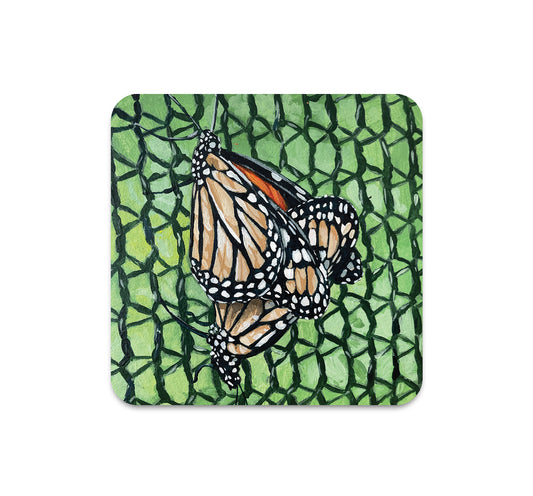 S9 ウイジ - コースター 3