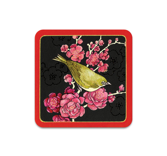 S9 ソン・カン - コースター 1