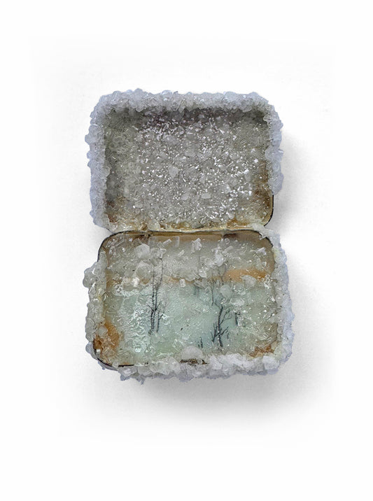 Brooks Shane Salzwedel - St Marys Tin