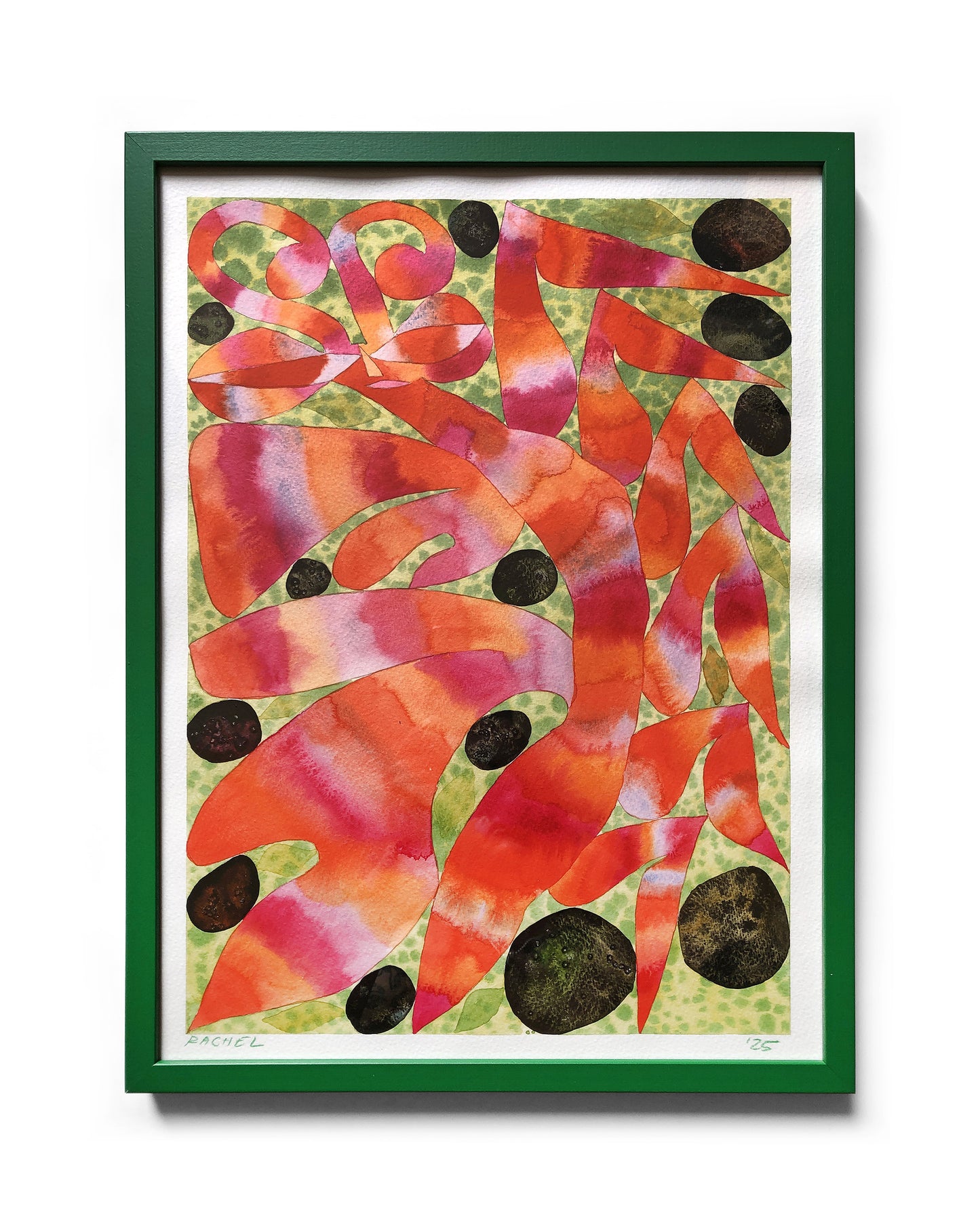 Rachel Hayden - Orchid Moth with Coals