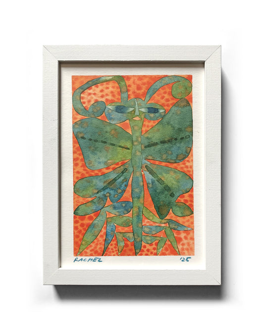 Rachel Hayden - Amphibian Moth