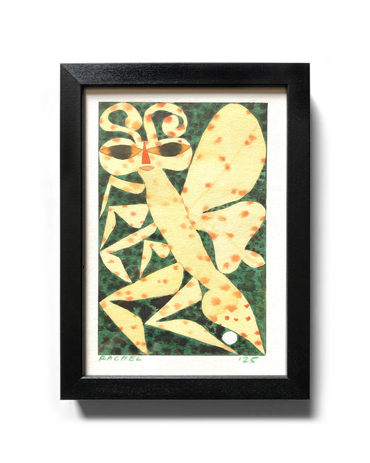 Rachel Hayden - Parchment Moth