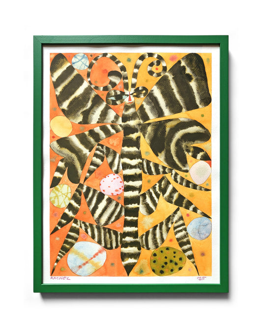 Rachel Hayden - Zebra Moth