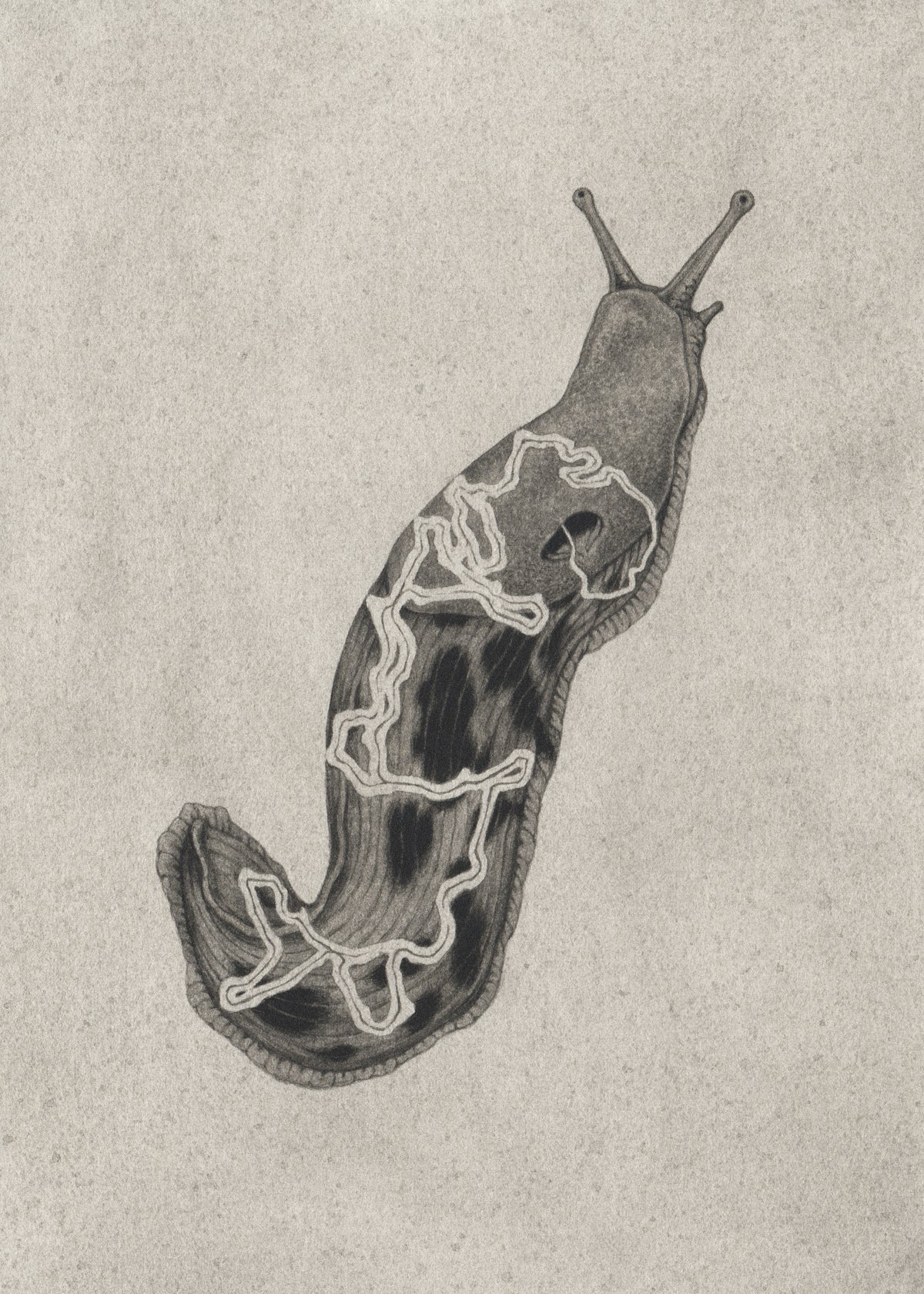 Teagan White - Slime