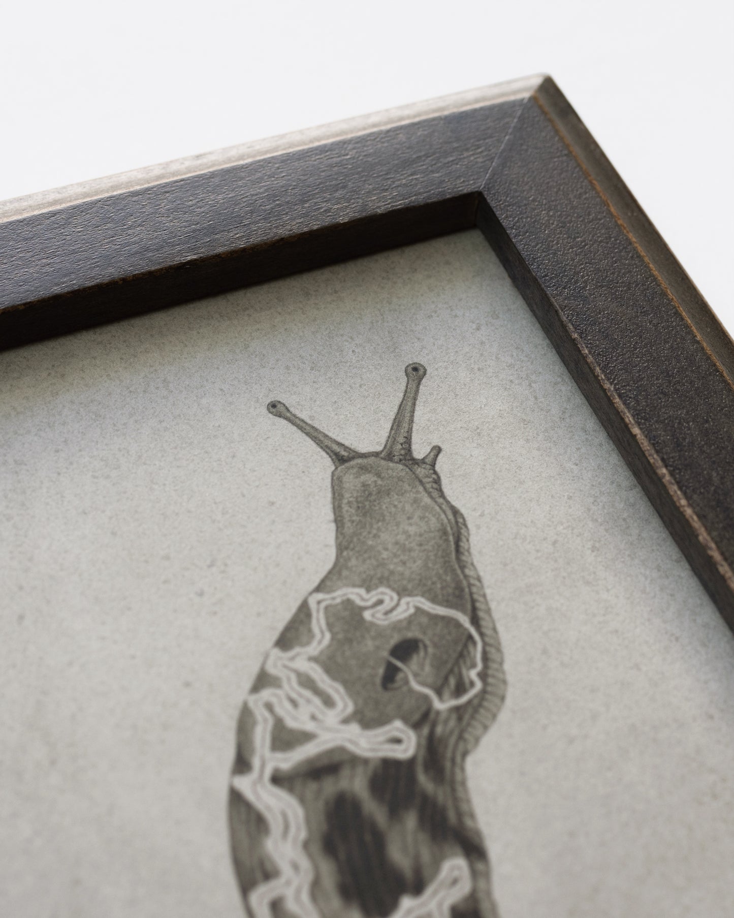 Teagan White - Slime