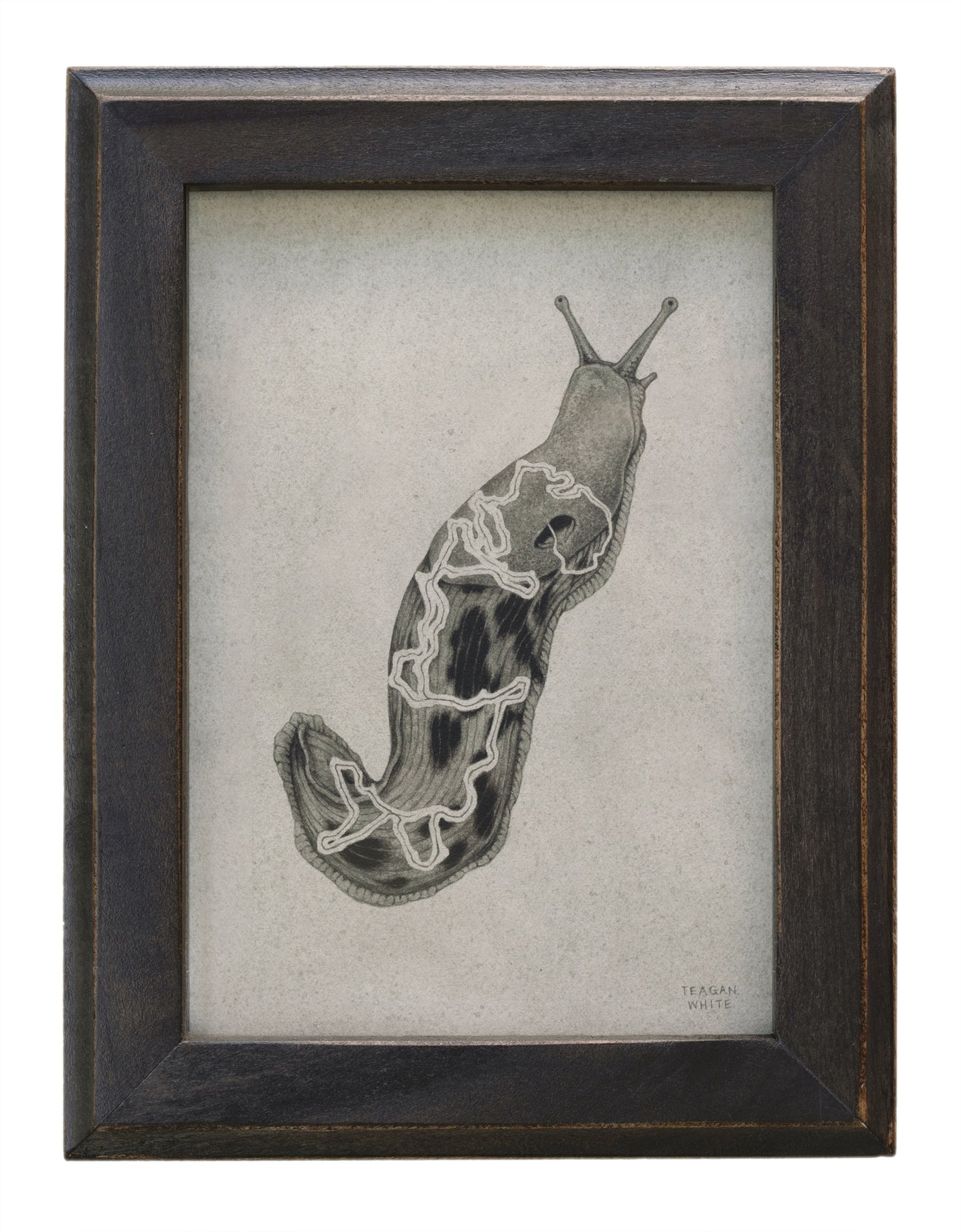 Teagan White - Slime