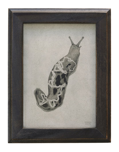 Teagan White - Slime