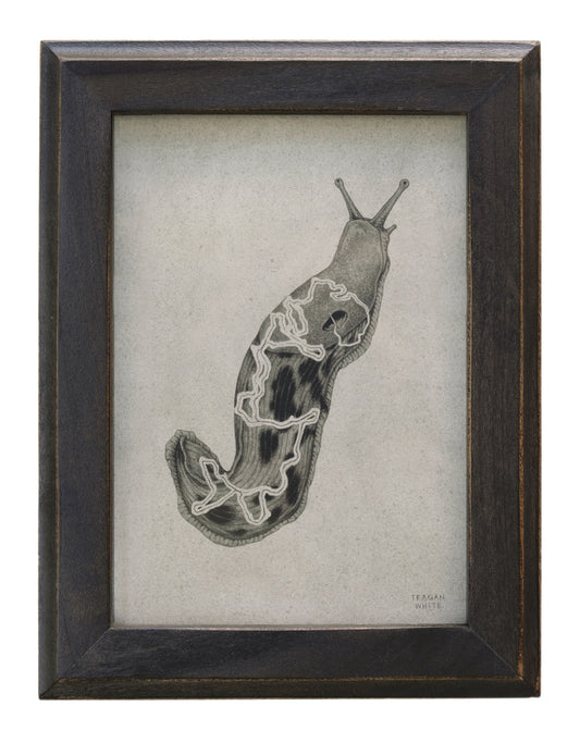 Teagan White - Slime