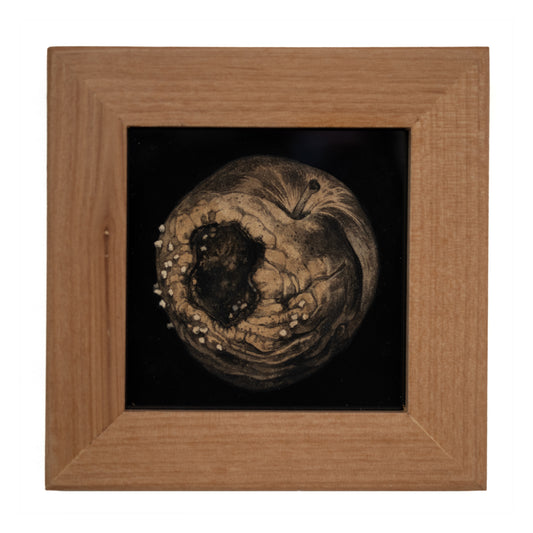 Teagan White - Reintegration (Apple)