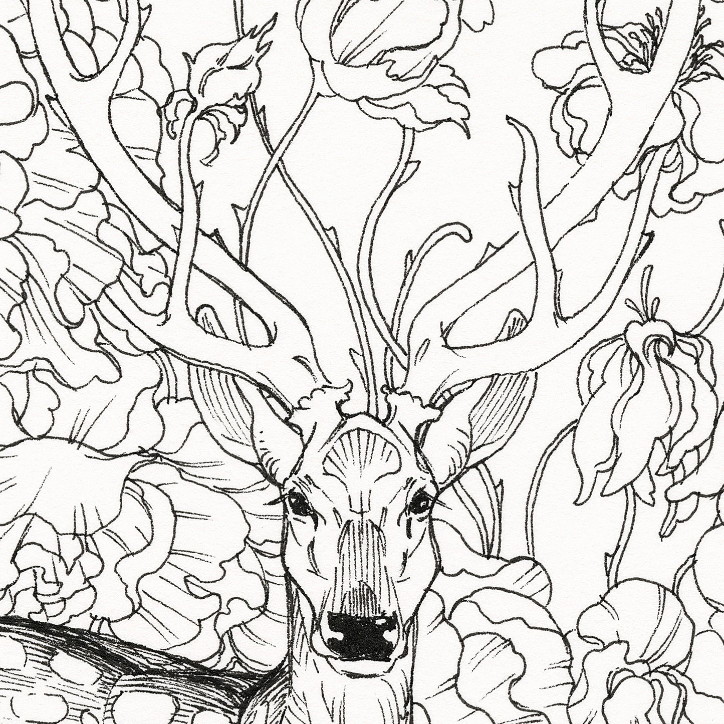 JAW クーパー - ソーンズ