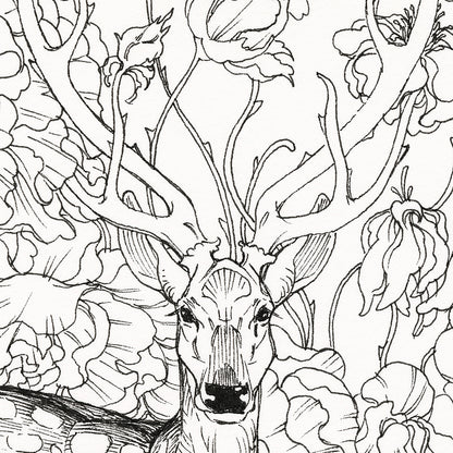 JAW クーパー - ソーンズ