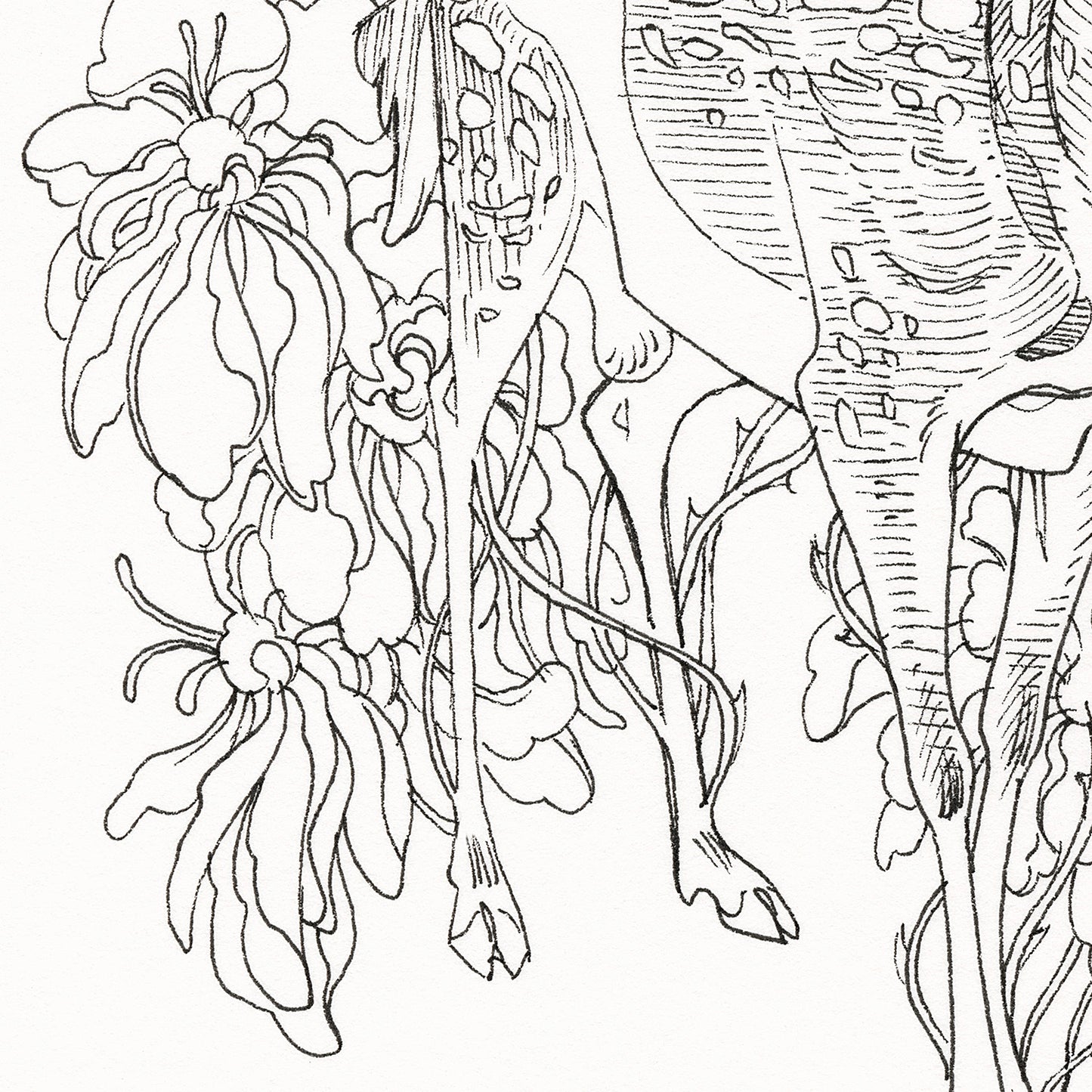 JAW クーパー - ソーンズ