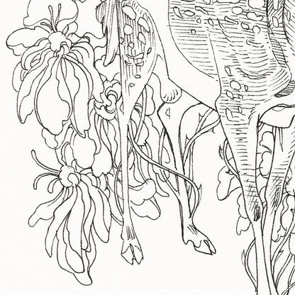 JAW クーパー - ソーンズ