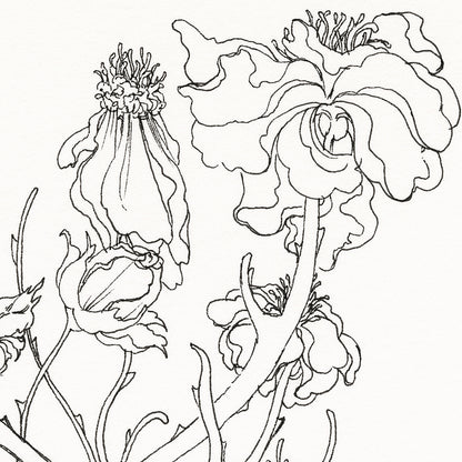 JAW クーパー - ソーンズ