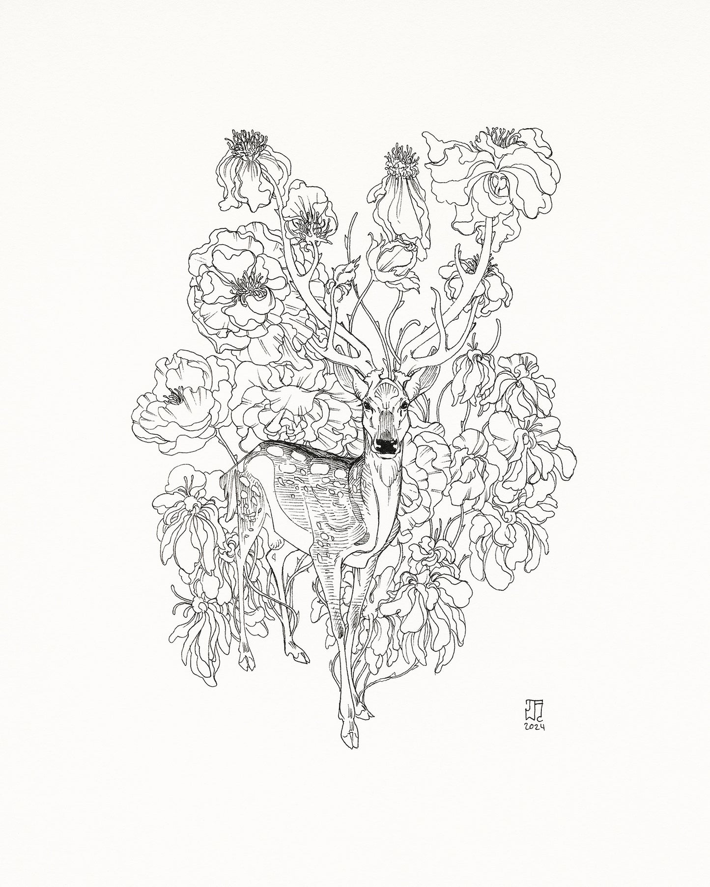 JAW クーパー - ソーンズ