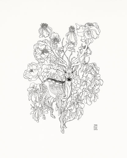 JAW クーパー - ソーンズ