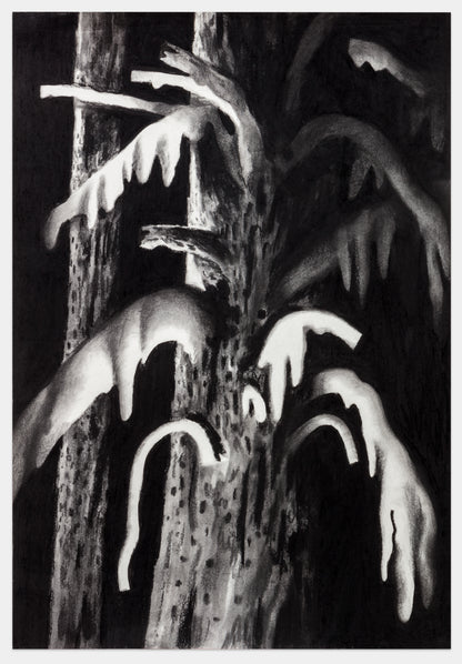 Timothy Lamb - Uprooting, untitled #2