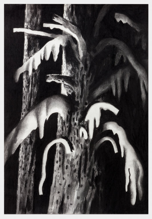 Timothy Lamb - Uprooting, untitled #2
