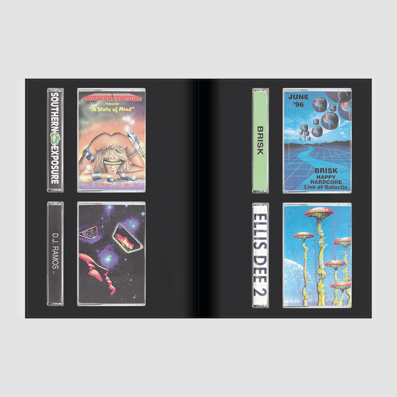 Rave Tapes Book (90s)