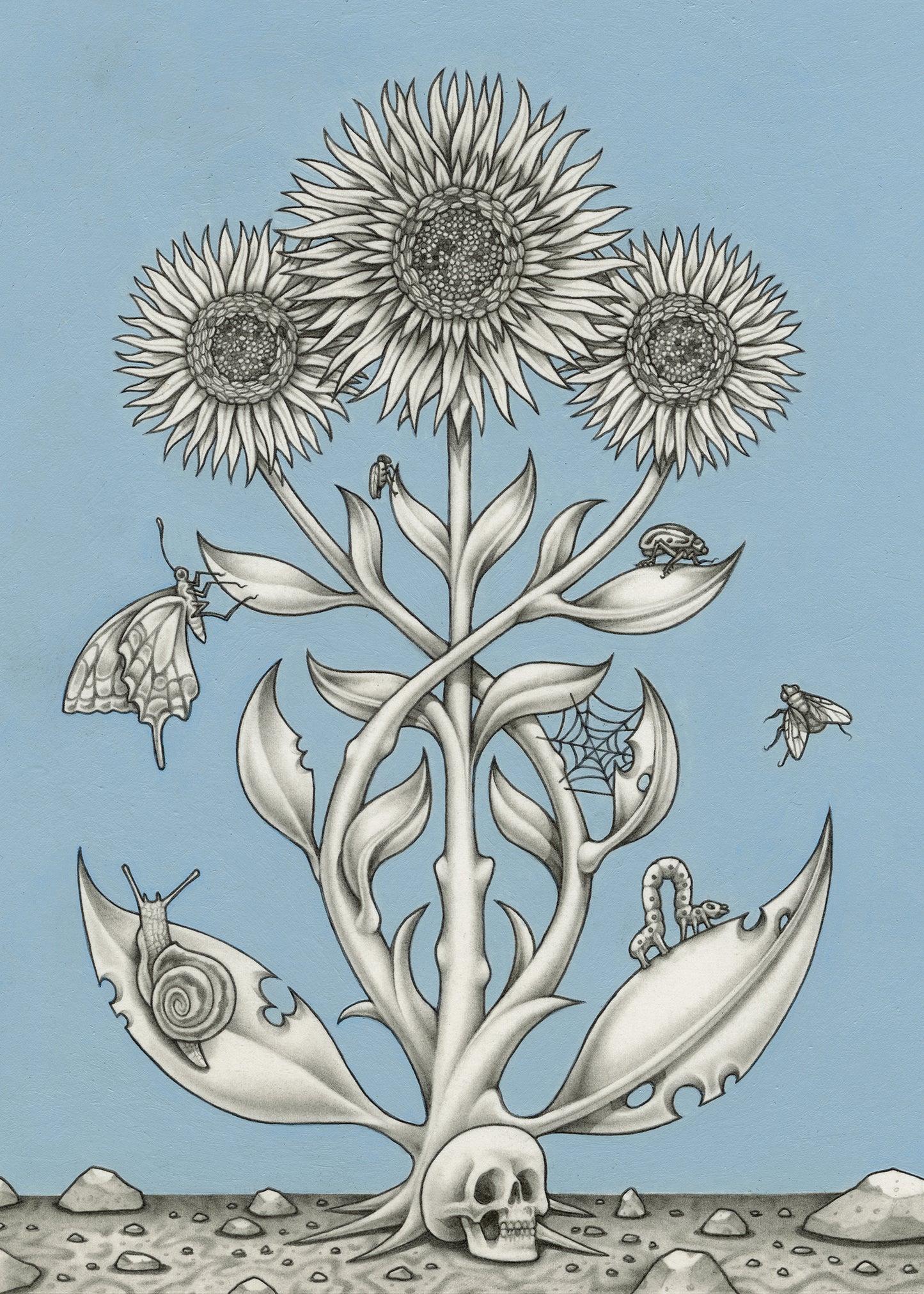 Jesse Fillingham - Host II