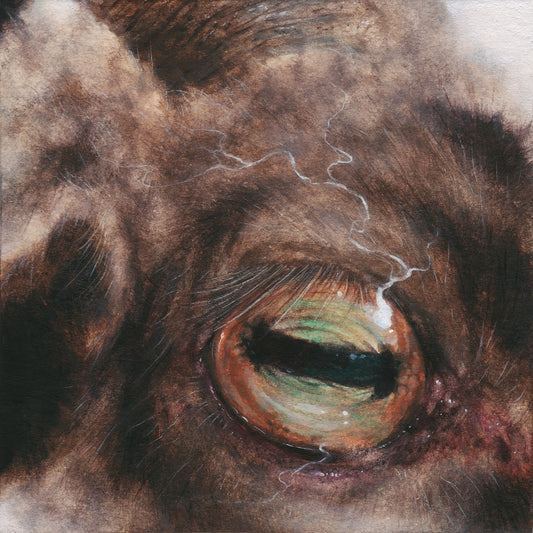 Dusty Ray - Preystillsees