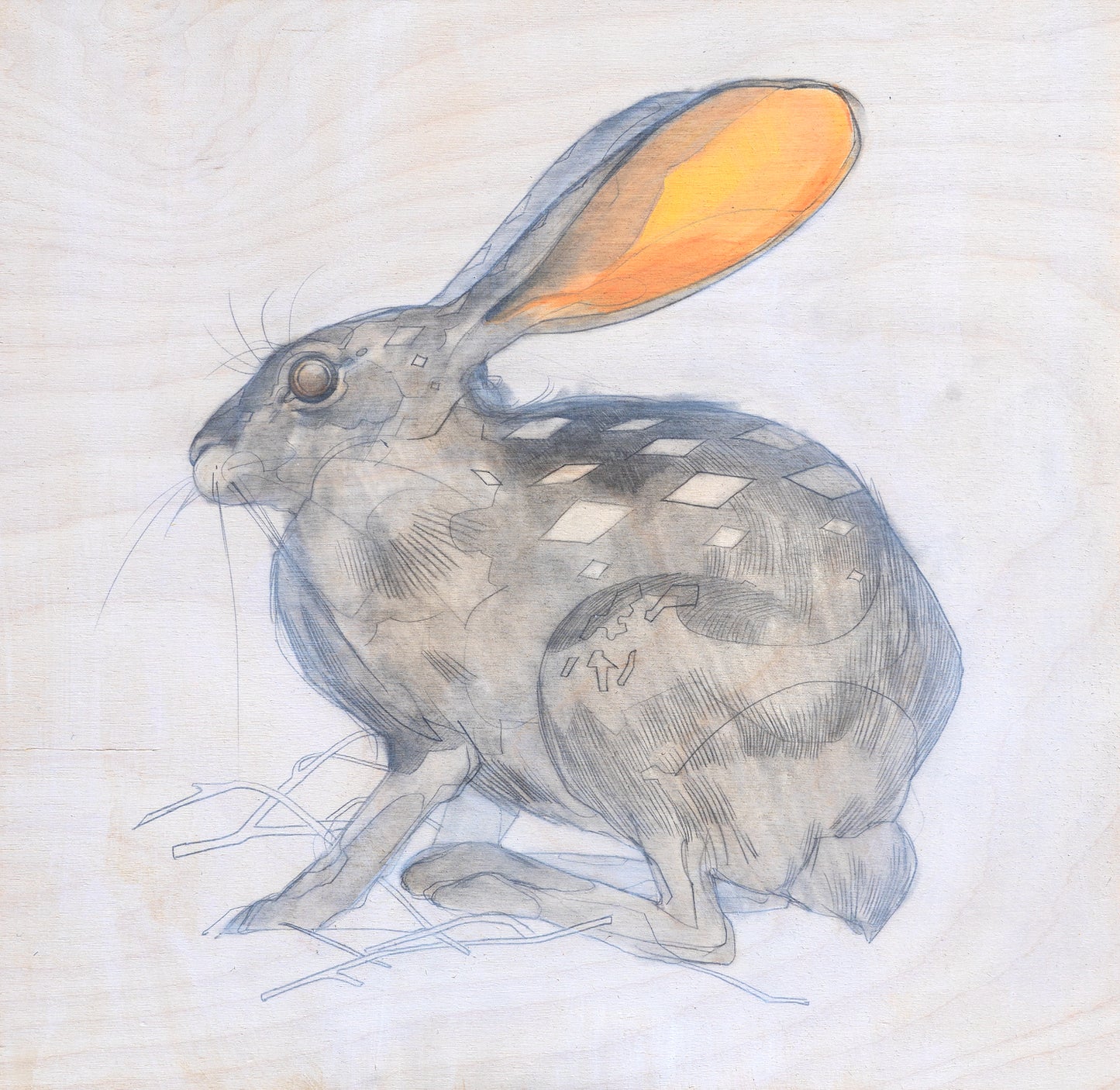 Eliza Ivanova - A Wild One