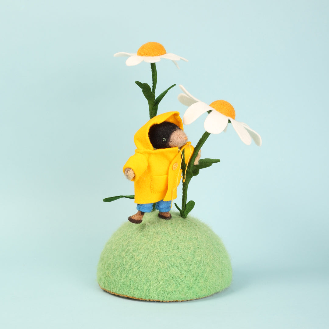 Cat Rabbit - A Friendly Mole