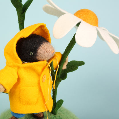 Cat Rabbit - A Friendly Mole