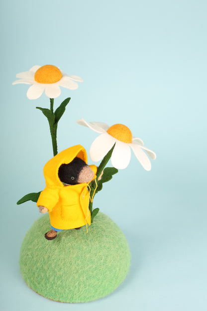 Cat Rabbit - A Friendly Mole