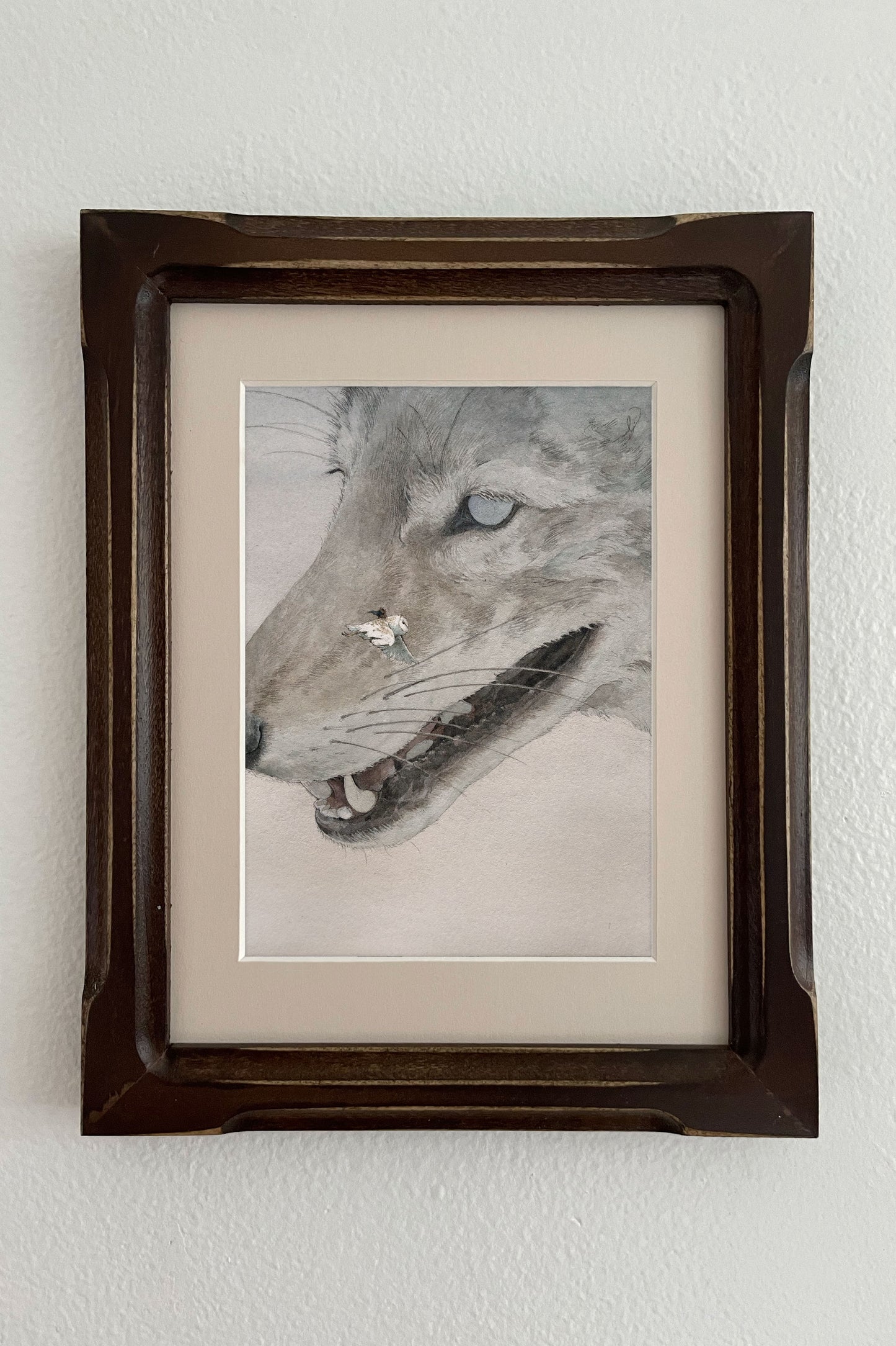 Lily Seika Jones - Astraeus